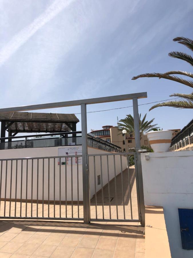 Apartamento La Tortuga De Fuerteventura 科斯塔德安提瓜 外观 照片